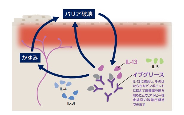 病態